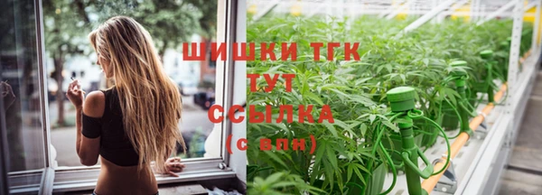 ГАЛЛЮЦИНОГЕННЫЕ ГРИБЫ Балахна