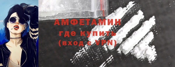 ГАЛЛЮЦИНОГЕННЫЕ ГРИБЫ Балахна